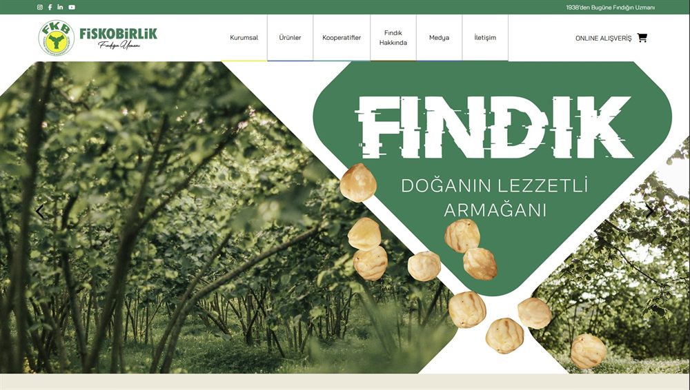 Muhasebe / mali müşavir web sitesi projesi
